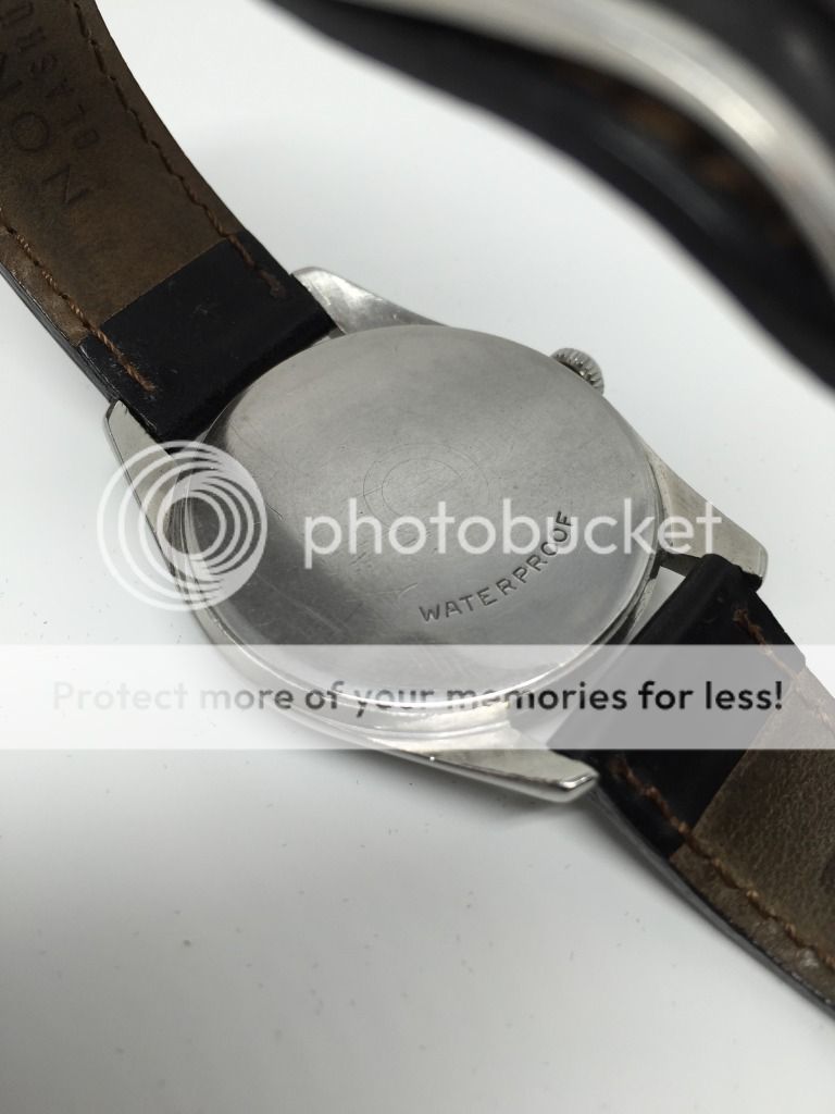IMG_2781_zpsbv4e0g0q.jpg