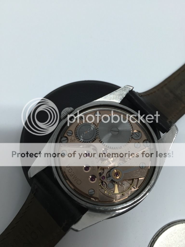 IMG_2787_zps4gl4kkra.jpg