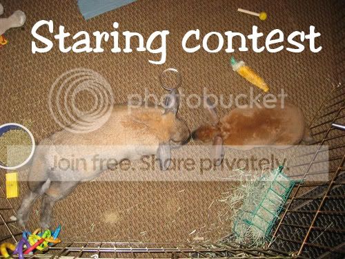 015_82.jpg picture by jenrefen