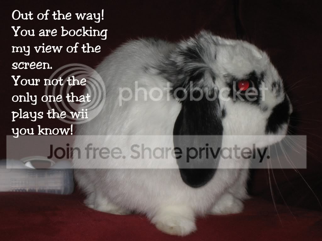 Fernplayingwiicopy.jpg picture by jenrefen