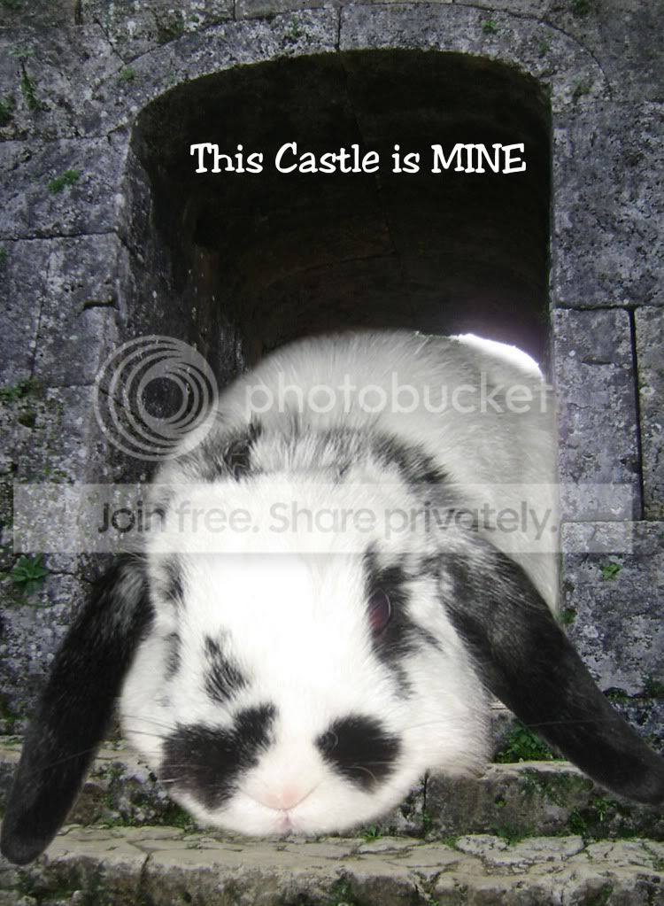 Fernscastle.jpg picture by jenrefen