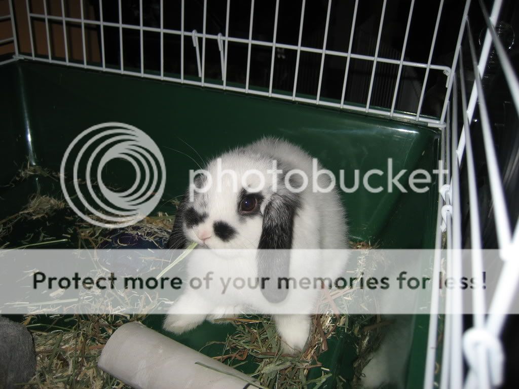 IMG_5318.jpg picture by jenrefen