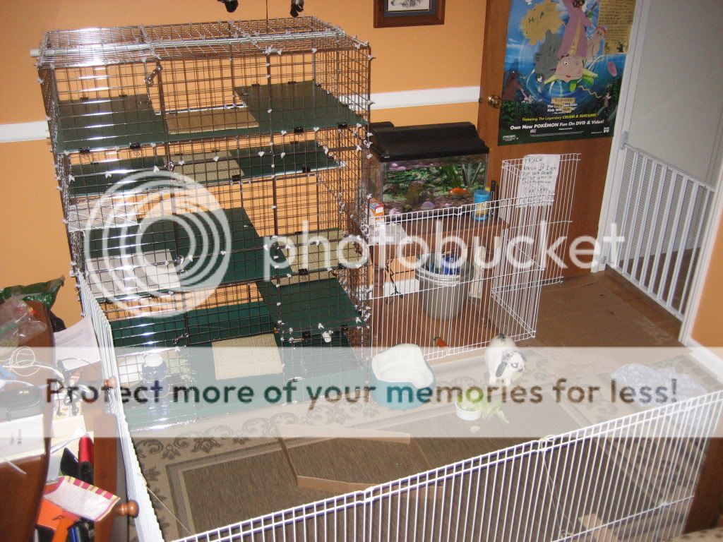 IMG_6711.jpg picture by jenrefen