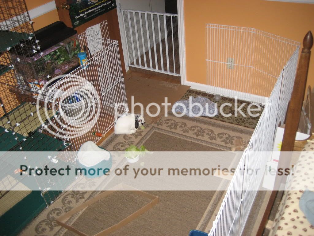 IMG_6714.jpg picture by jenrefen