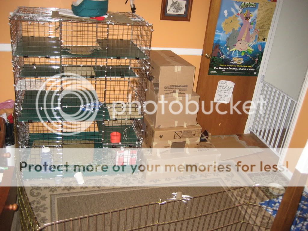 IMG_7245.jpg picture by jenrefen